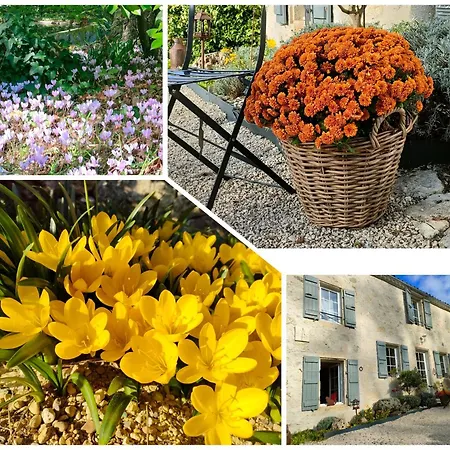 ベッド・アンド・ブレックファスト Maison La Thebaide